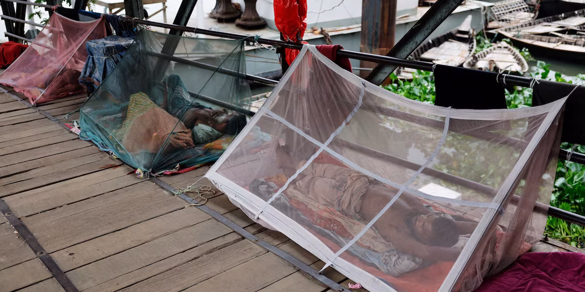 Bangladesh sees
<span class="bsf-rt-reading-time"><span class="bsf-rt-display-label" prefix="დრო:"></span> <span class="bsf-rt-display-time" reading_time="2"></span> <span class="bsf-rt-display-postfix" postfix="წთ."></span></span><!-- .bsf-rt-reading-time -->